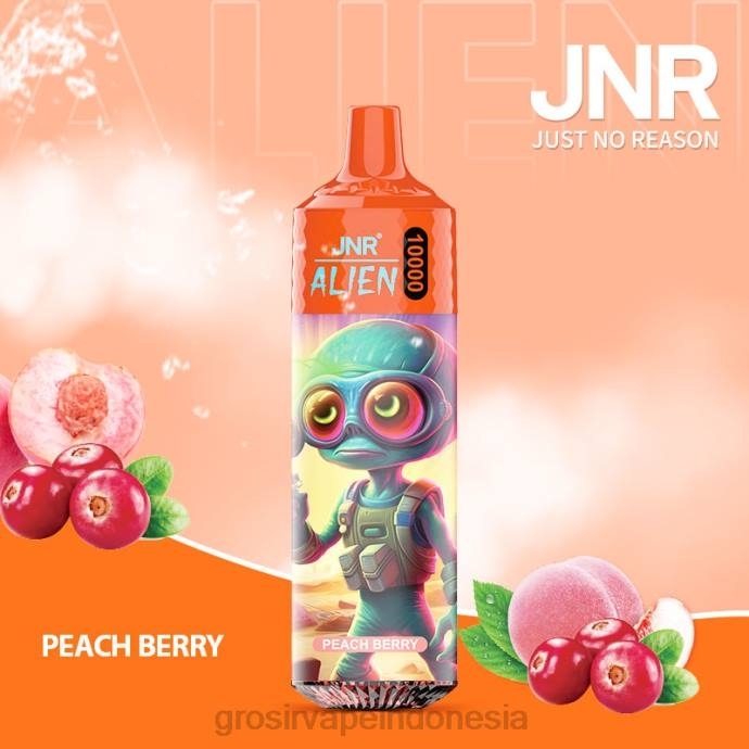 grosir vape jakarta | 0LVV655 buah persik JNR ALIEN