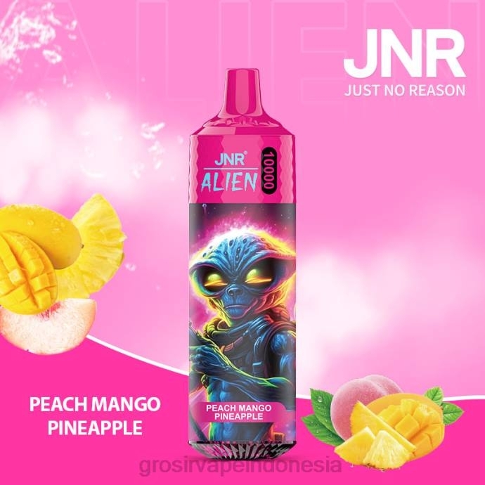 grosir vape sidoarjo | 0LVV658 nanas mangga persik JNR ALIEN