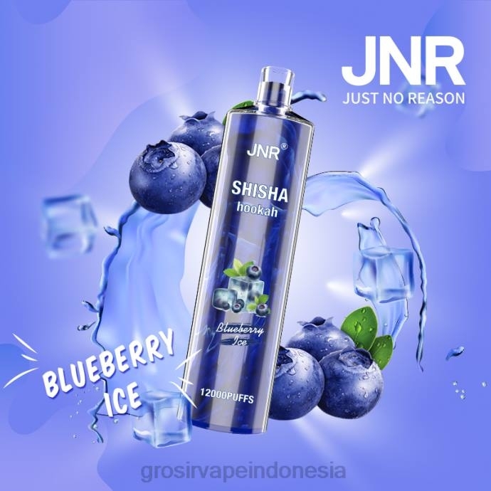 grosir vape Indonesia | 0LVV671 es blueberry JNR SHISHA