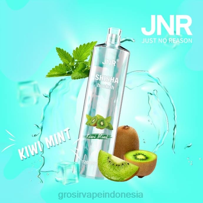 grosir vape Indonesia | 0LVV681 daun mint kiwi JNR SHISHA