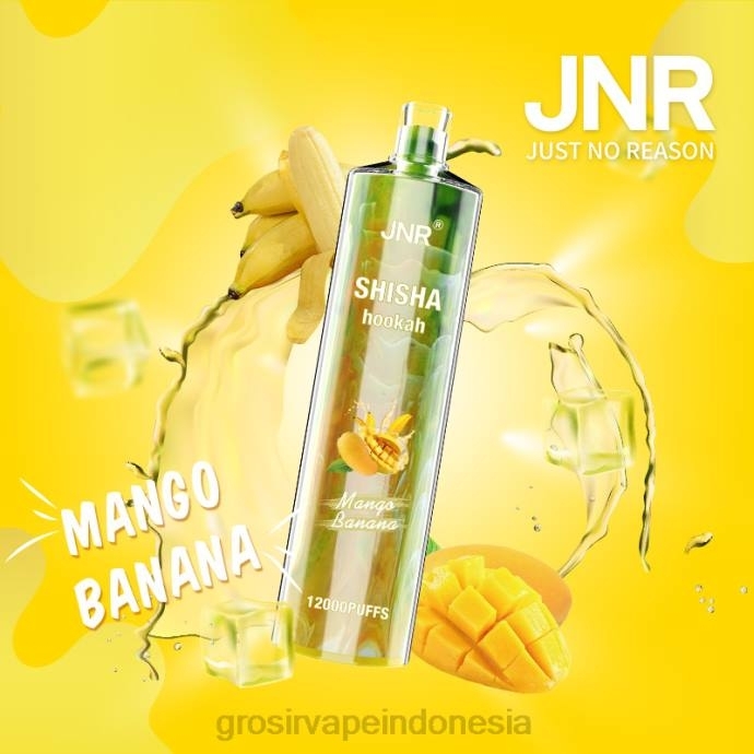 grosir vape medan | 0LVV684 pisang mangga JNR SHISHA