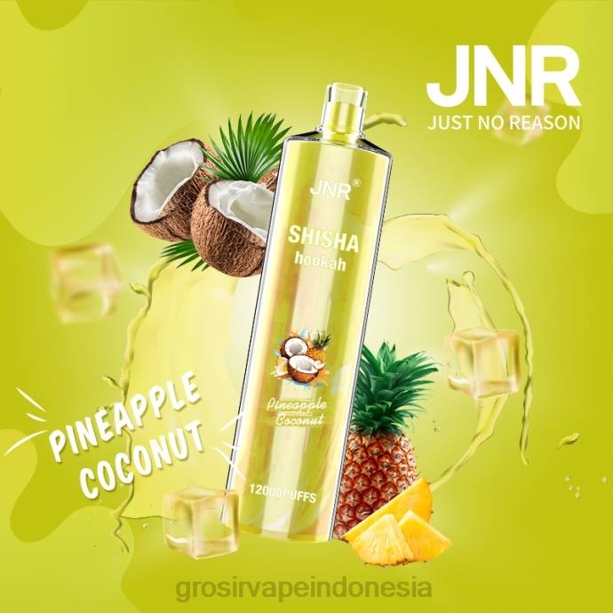 grosir vape pekanbaru | 0LVV686 kelapa nanas JNR SHISHA