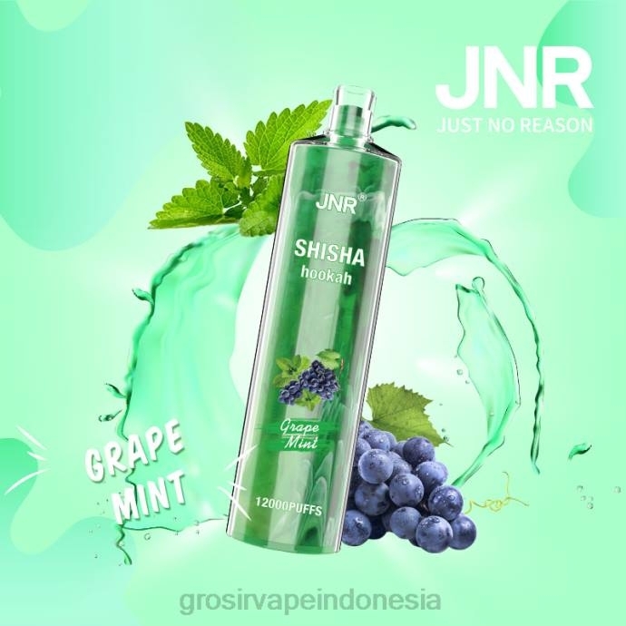 grosir vape sidoarjo | 0LVV678 anggur mint JNR SHISHA