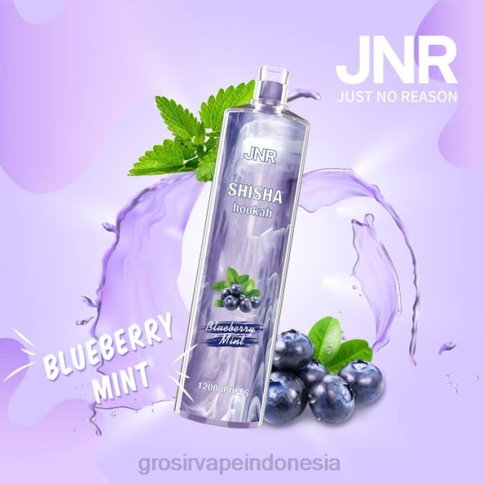 grosir vape termurah | 0LVV672 blueberry mint JNR SHISHA