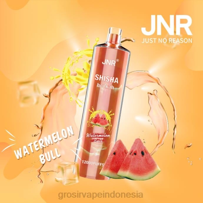 grosir vape termurah | 0LVV692 banteng semangka JNR SHISHA