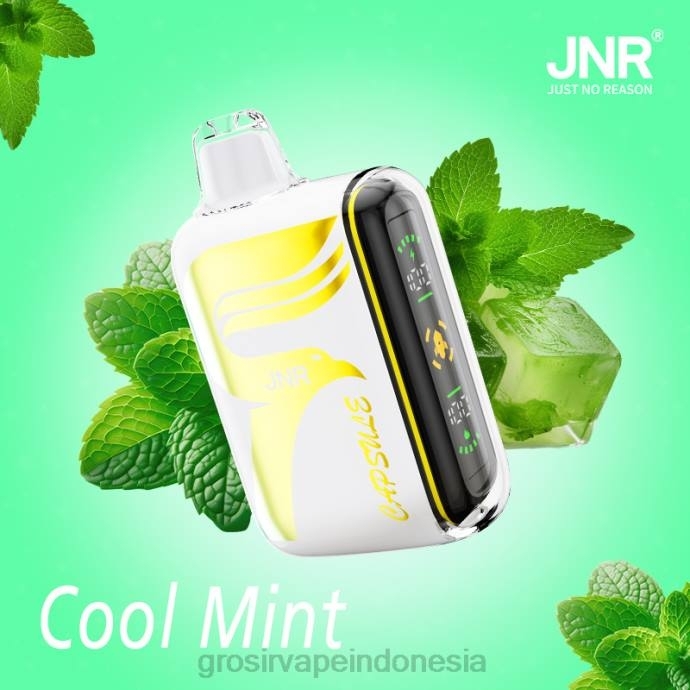 grosir vape medan | 0LVV604 mint yang keren JNR CAPSULE