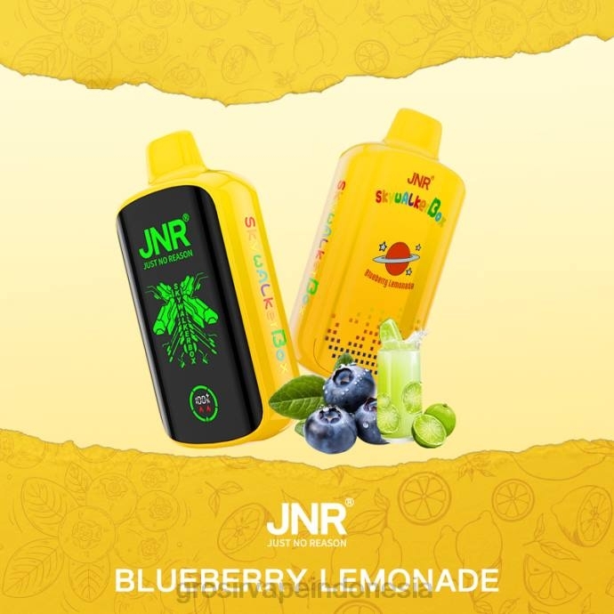 grosir vape medan | 0LVV584 bluberi lemon JNR SKYWALKER BOX